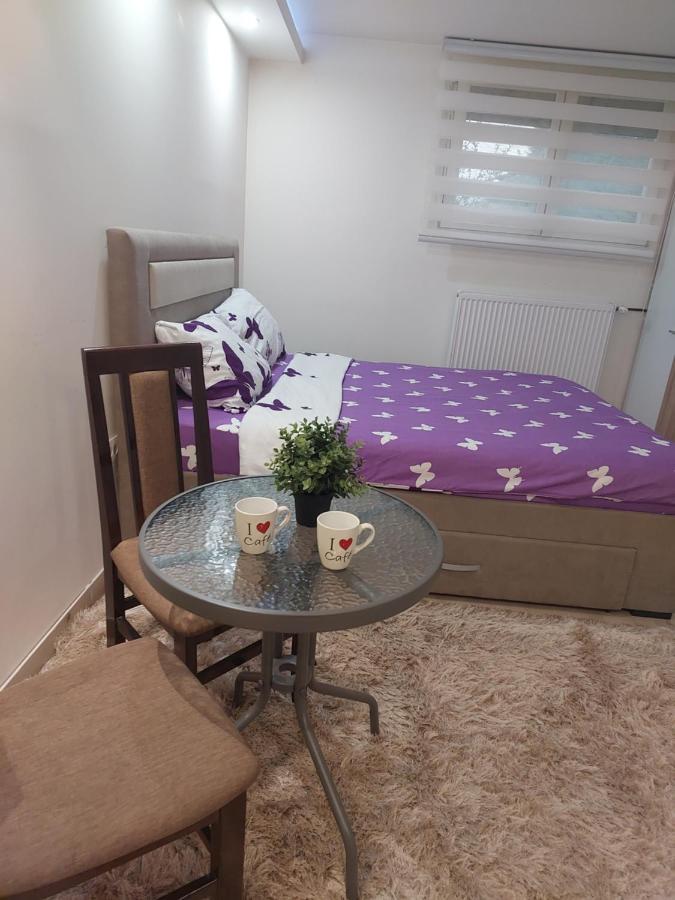 Apartman Zivkovic Leskovac  Buitenkant foto