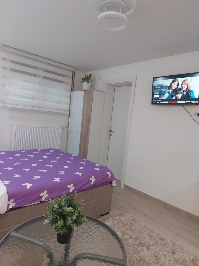 Apartman Zivkovic Leskovac  Buitenkant foto
