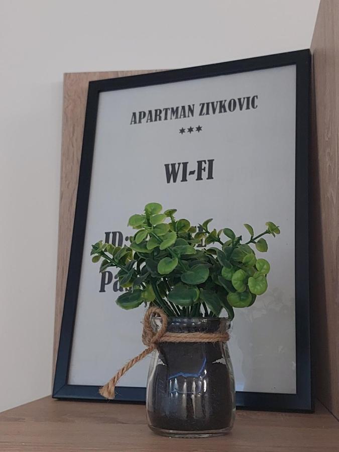 Apartman Zivkovic Leskovac  Buitenkant foto