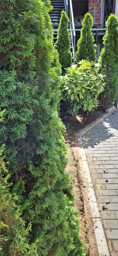 Apartman Zivkovic Leskovac  Buitenkant foto
