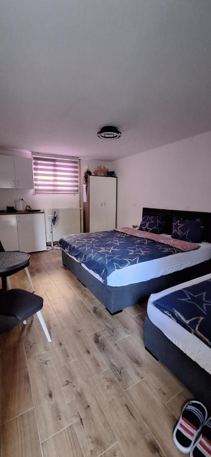Apartman Zivkovic Leskovac  Buitenkant foto